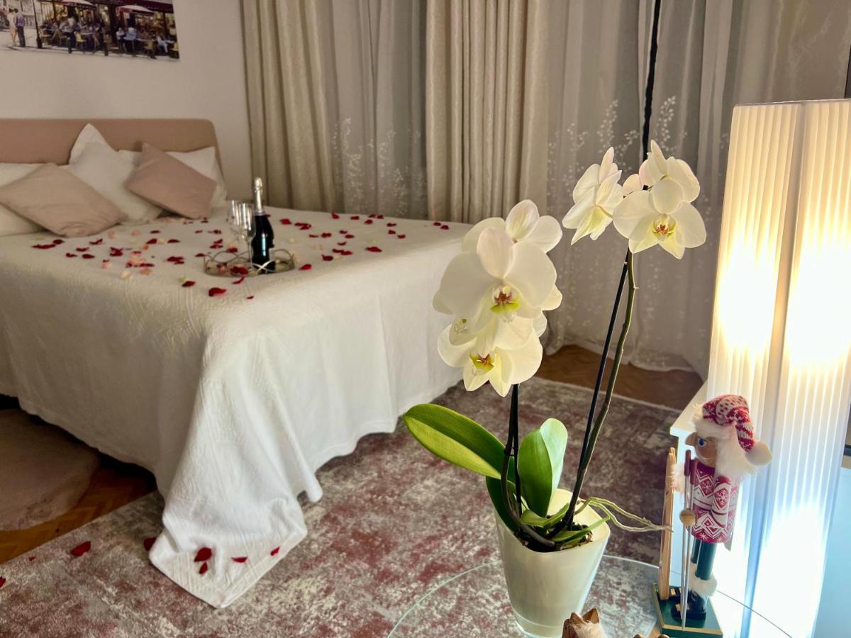 Louis & Elza Old Town Romantic Apartment *